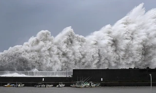 Tận thấy cơn bão lớn nhất 25 năm qua 'càn quét' Nhật Bản