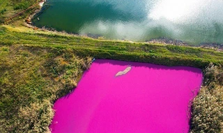 Cảnh hồ nước chuyển màu hồng ở Stavropol (Nga) chụp từ camera bay.