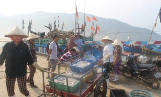 Sau khi có kết quả quan trắc, xét nghiệm cụ thể của các cơ quan chức năng, các cảng cá trên địa bàn Hà Tĩnh nhộn nhịp trở lại, người dân yên tâm bám biển. 