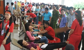 'Giọt hồng An Giang' thành công ngoài dự kiến