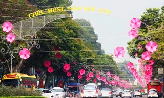 Tết Dương lịch: Miền Bắc trời rét, miền Nam nắng đẹp