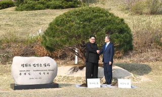 Ẩn ý sâu xa đằng sau lễ trồng cây thông của lãnh đạo Hàn - Triều