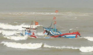 Chìm tàu câu mực chở 36 người, một người chết