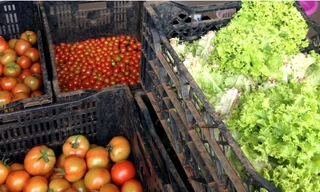 Giá cà chua và xà lách đều tăng vọt