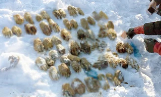 Số tay người được tìm thấy tại vùng Viễn Đông Nga. Ảnh: Siberia Times