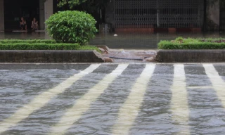 Hà Tĩnh: Quốc lộ ngập úng, dân phá dải phân cách khơi thông