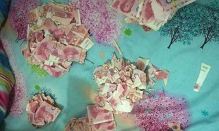 Số tiền 5 vạn tệ của ông Gao bị con trai 5 tuổi xé thành giấy vụn. Ảnh: SCMP