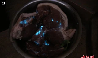 Hình ảnh chậu thịt lợn phát ra ánh sáng xanh rùng mình.