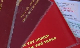 Trưởng ban Tổ chức Thành ủy Vị Thanh bị 'giáng' xuống làm nhân viên