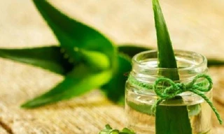 Ảnh minh họa: Internet