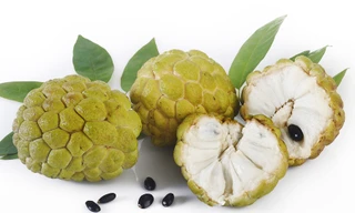 Ảnh minh họa: Internet