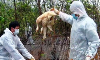 Ảnh minh họa: Internet