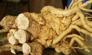 Ảnh minh hoạ: Internet