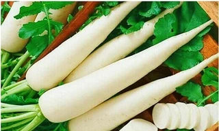 Ảnh minh họa: Internet