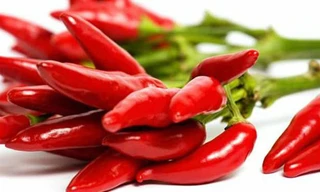 Ảnh minh họa: Internet