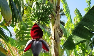 Ảnh minh hoạ: Internet