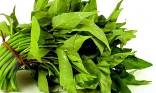 Ảnh minh họa: Internet