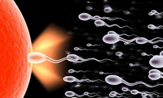 Ảnh minh hoạ: Internet