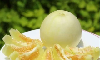 Ảnh minh hoạ: Internet