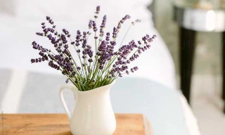 Ảnh minh họa: Internet