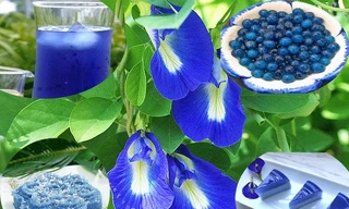 Ảnh minh họa: Internet