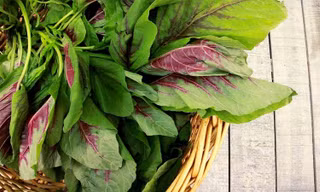 Ảnh minh họa: Internet