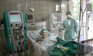 Ảnh minh hoạ: Internet