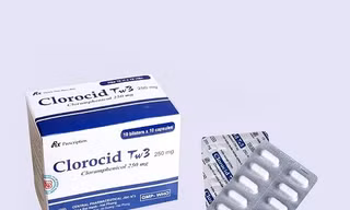 Ảnh minh hoạ: Internet