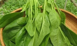 Ảnh minh họa: Internet