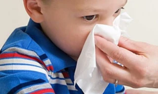 Ảnh minh họa: Internet