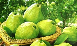 Ảnh minh họa: Internet