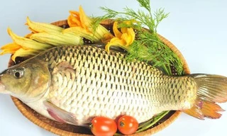 Ảnh minh hoạ: Internet