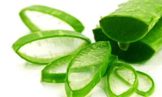 Ảnh minh họa: Internet