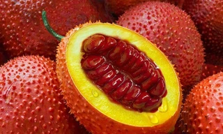 Ảnh minh họa: Internet