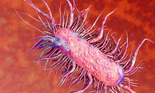 Ảnh minh họa: Internet