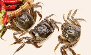 Ảnh minh họa: Internet