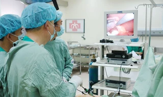 Ảnh minh hoạ: Internet