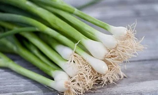 Ảnh minh họa: Internet