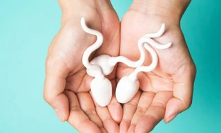 Ảnh minh họa: Internet