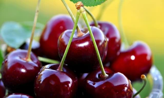 Ảnh minh họa: Internet