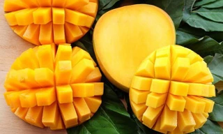 Ảnh minh hoạ: Internet