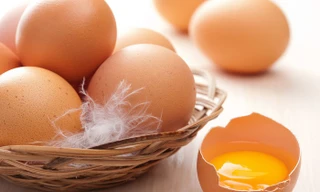 Ảnh minh hoạ: Internet