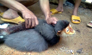 Những bạn trẻ “chết” vì Facebook