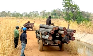 Khởi tố vụ lâm tặc đe dọa lực lượng chức năng ở Gia Lai