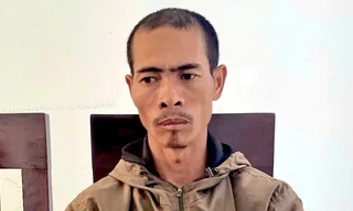 Khởi tố gã anh rể vụ triệt hạ vườn hồ tiêu, cà phê của em họ vợ