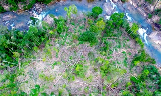 Cận cảnh khu rừng ở suối Ia Díp bị đốn hạ ngổn ngang