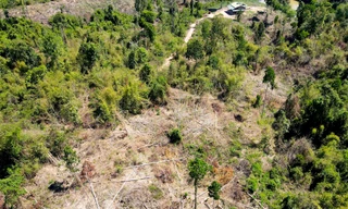 Vụ cả cánh rừng bị phá sát trụ sở UBND huyện: Báo cáo ‘lạ’ của kiểm lâm