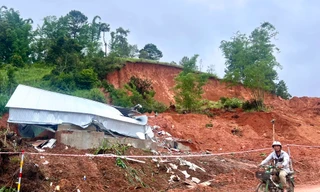 Mưa kèm gió mạnh gây nhiều thiệt hại