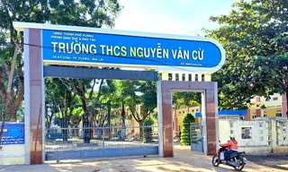 Dùng bằng cấp ba giả, một hiệu phó bị thôi việc