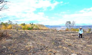 Cho phép thăm dò, khai quật khảo cổ Di tích Plei Ring